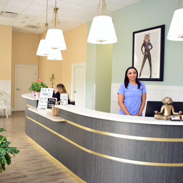 Contact Us Perky Paws Pet Hospital McKinney Tx