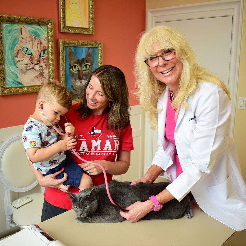 Perky Paws Pet Hospital McKinney