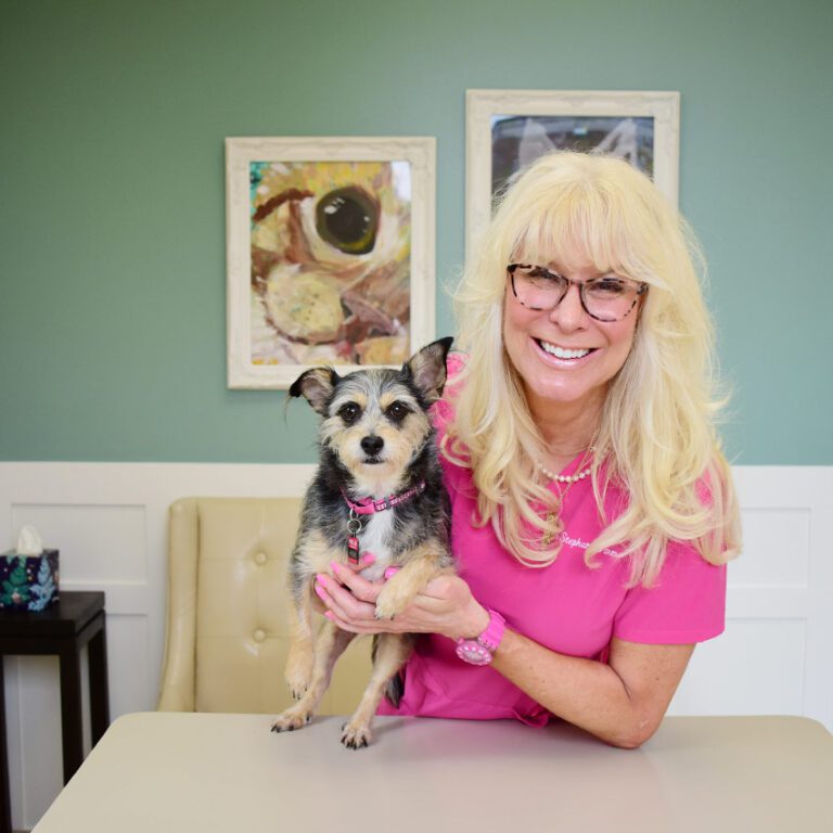 Senior Pet Veterinarian McKinney TX