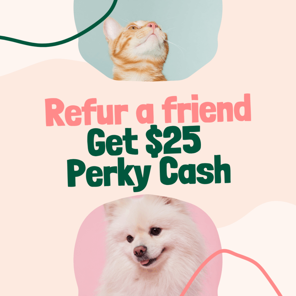Refer a friend program